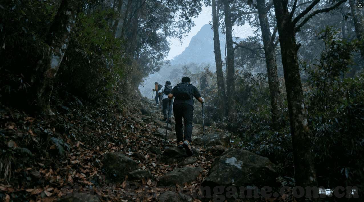 德州扑克大小规则-德州扑克大小规则详解